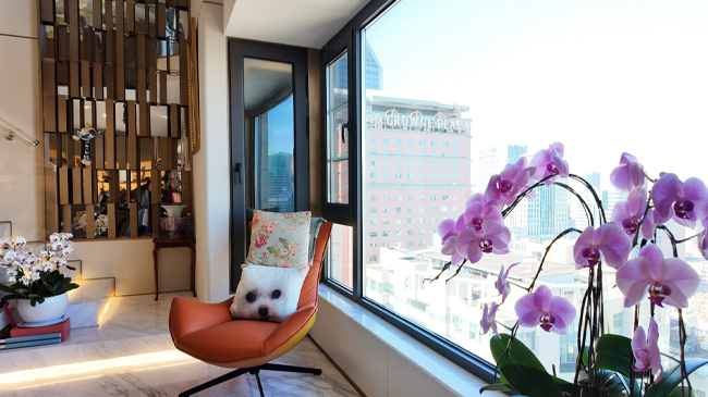 Home interior with orchids and a city view